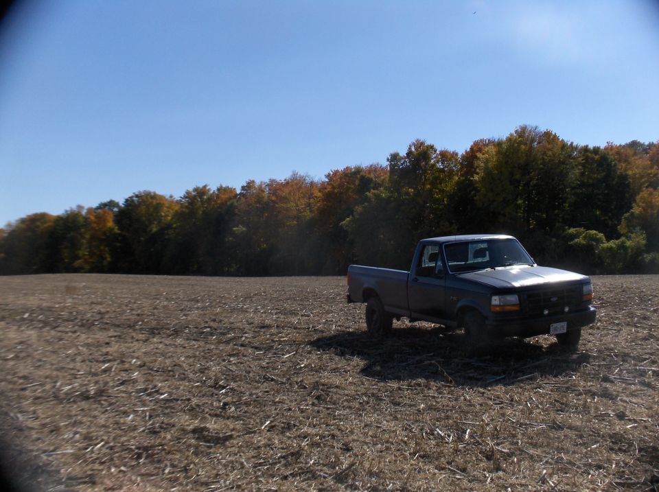 1994 Ford F-150 pickup truck in a harvested field with autumn trees in the background