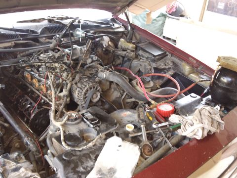 1998 Ford Crown Victoria - Tools and a phone are placed on the engine of a car during maintenance.