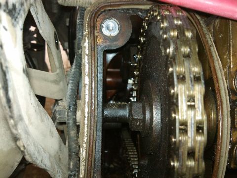 1998 Ford Crown Victoria - Engine timing chain and gears are visible in this close-up view.