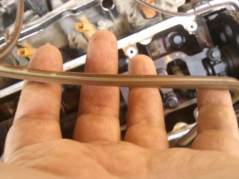 1998 Ford Crown Victoria - A valve cover gasket is held up for inspection, showing engine components behind it.