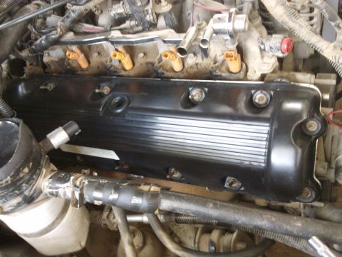 1998 Ford Crown Victoria - Close-up view of an engine's valve cover, with fuel injectors in view, likely during maintenance.