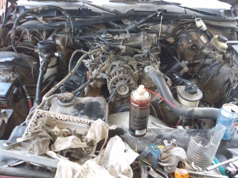 1998 Ford Crown Victoria - The engine bay is cluttered with tools and rags, suggesting ongoing maintenance or repair work.