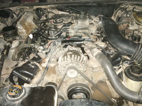 1998 Ford Crown Victoria - Close-up view of a vehicle's engine bay, showing the alternator and various hoses and components.