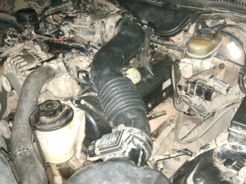 1998 Ford Crown Victoria - Close-up view of a car's engine bay, showing various components and hoses.