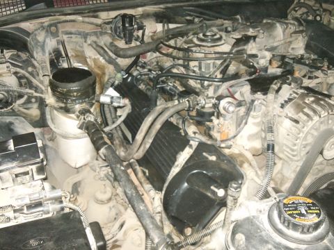 1998 Ford Crown Victoria - Close-up view of a vehicle's engine compartment, showing various components and wiring.