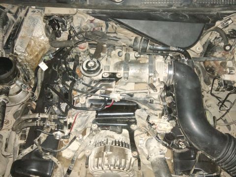 1998 Ford Crown Victoria - Engine bay of a 1998 Ford Crown Victoria, showing the alternator and intake manifold.