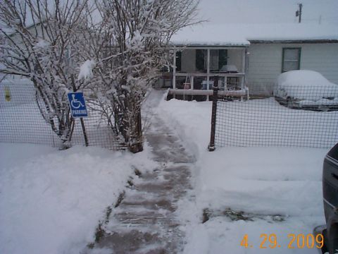 1984 Ford Mustang - A snow-covered car sits in the driveway of a house during winter, with a handicap parking sign visible.
