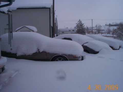 1984 Ford Mustang - Several vehicles are completely covered by a thick blanket of snow, obscuring their details.
