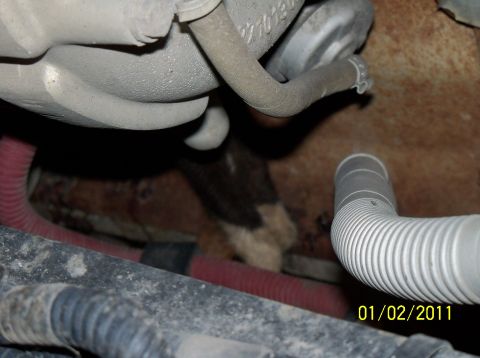 1989 Ford Bronco - Close-up view of engine components with hoses and metal parts visible.
