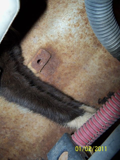 1989 Ford Bronco - Close-up of animal fur and engine components, with visible date stamp and website.