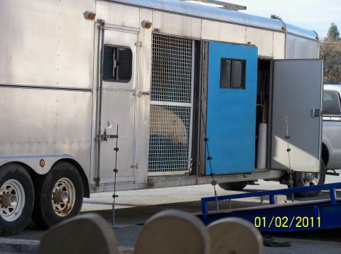 1989 Ford Bronco - A silver trailer designed for animal transport, with a polar bear visible inside, parked next to a pickup truck.