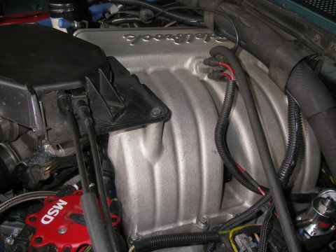 1990 Ford Bronco - Installed cast-aluminum Edelbrock EFI intake manifold with the script logo on the upper plenum, surrounded by loom-wrapped harness, black a…