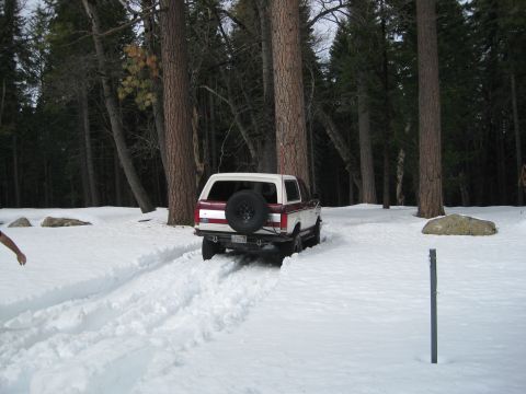 1986 Ford Bronco - A Ford Bronco navigates a snowy forest path, leaving tire tracks behind.