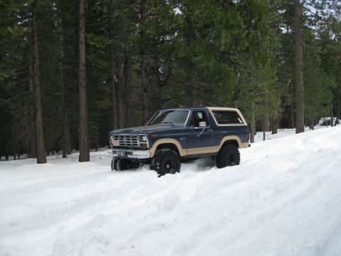 1986 Ford Bronco - A blue and tan 1986 Ford Bronco navigates through a snowy forest road.