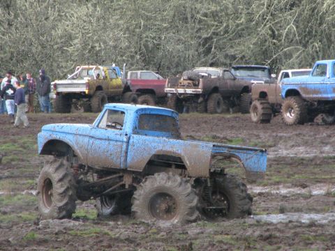 1978 Ford Bronco - Several modified trucks are participating in a mud bogging event, with one blue truck prominently stuck in the mire.