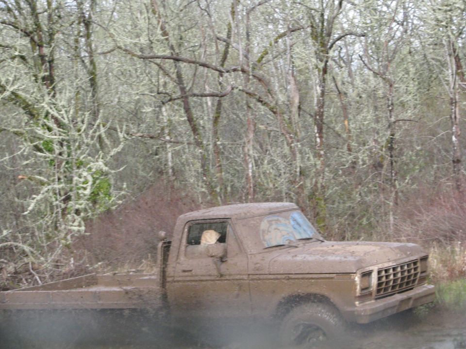 Mud-covered 1978 Ford F-Series pickup truck splashing through mud, 3q-front view