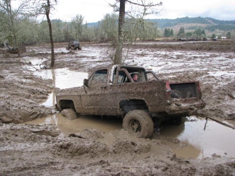 1978 Ford Bronco - This mud-covered pickup truck is stuck deep in the mud, with a driver visible inside the cab.