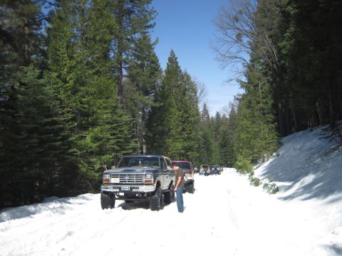 1989 Ford Bronco - Several SUVs drive down a snow-covered road surrounded by pine trees.