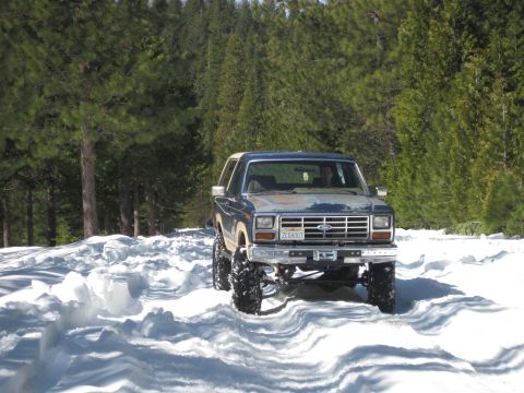 1989 Ford Bronco - This lifted Ford Bronco navigates a snowy path surrounded by tall pine trees.