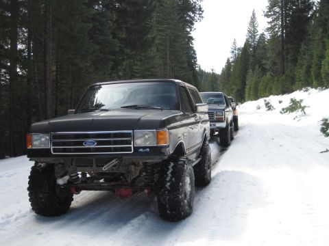 1989 Ford Bronco - A line of lifted Ford Broncos navigates a snow-covered forest road.