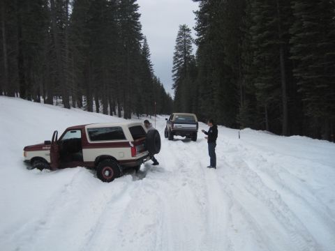 1989 Ford Bronco - Two SUVs are stuck in the snow on a road lined with pine trees.
