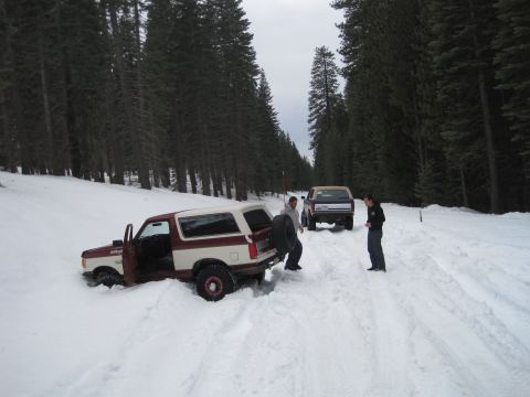 1989 Ford Bronco - Two vehicles are stuck in the snow on a road surrounded by pine trees.