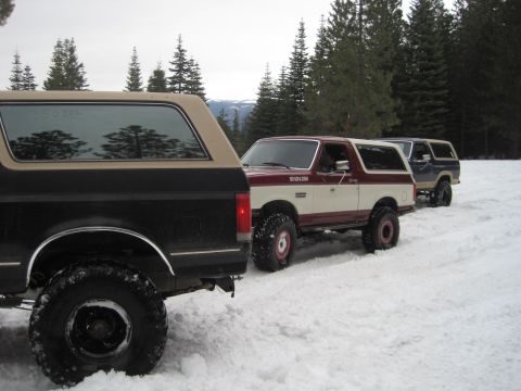 1989 Ford Bronco - Three Ford Broncos parked in a snowy landscape, with trees in the background.