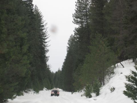 1989 Ford Bronco - A lone SUV navigates a snowy forest road under an overcast sky.