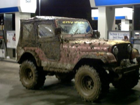 1995 Ford Bronco - PINKY