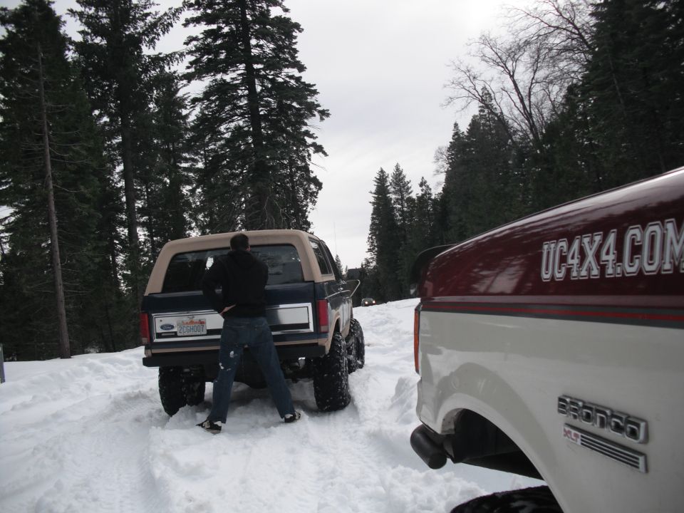 Blue Ford Bronco with tan top in snow, rear view. License plate visible