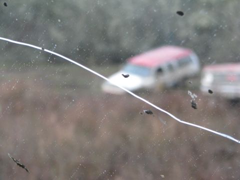 1978 Ford Bronco - A red and white SUV is visible through a cracked and dirty windshield, with another vehicle partially seen to the right.