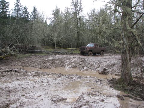 1978 Ford Bronco - Pickup truck stuck in mud, surrounded by trees and a yellow caution tape.