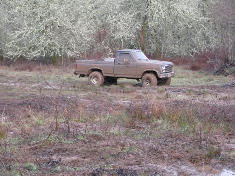 1978 Ford Bronco - A muddy pickup truck is stuck in a wet, wooded area. The vehicle appears to be a Ford F-150 from the early 1980s.