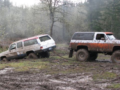 1978 Ford Bronco - Two SUVs are stuck in a muddy, wooded area, with one vehicle attempting to pull the other out.