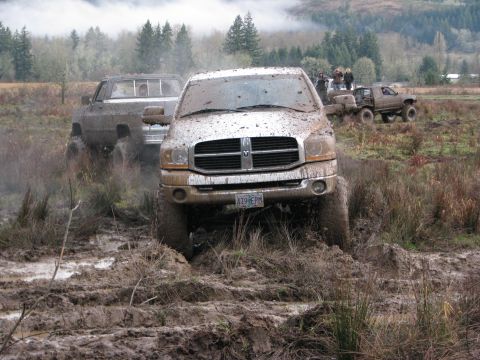 1978 Ford Bronco - Several pickup trucks are navigating a muddy off-road course with trees in the background.