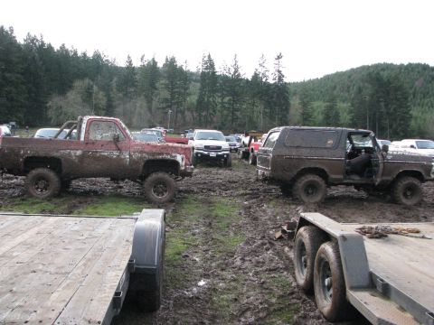 1978 Ford Bronco - A muddy 1978 Ford Bronco sits in a field with its door ajar, surrounded by other vehicles and trees.
