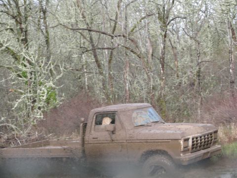 1978 Ford Bronco - This pickup truck is covered in mud as it drives through a wooded area, kicking up spray.