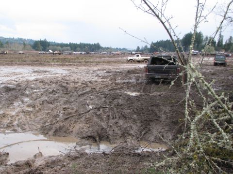 1978 Ford Bronco - Multiple vehicles are stuck in a muddy field, with one black pickup truck prominently featured from the rear.