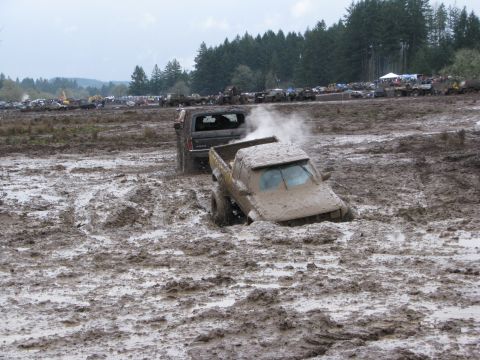 1978 Ford Bronco - Mud bogging event with multiple vehicles stuck in the mire.