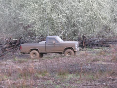 1978 Ford Bronco - A muddy Ford pickup truck navigates a rough, wooded area.