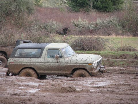 1978 Ford Bronco - This 1978 Ford Bronco is deeply stuck in thick mud, with only its upper body visible above the mire.