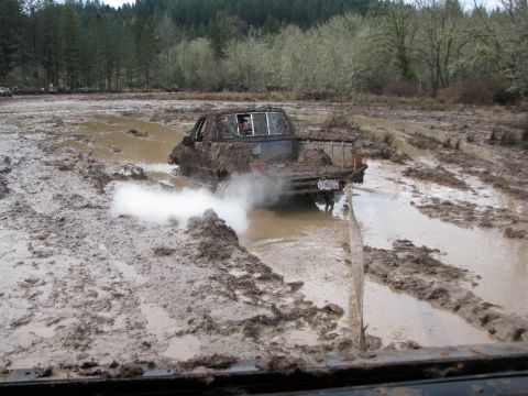 1978 Ford Bronco - A truck is deeply stuck in a muddy track, with trees and brush in the background.