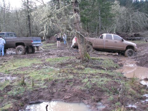 1978 Ford Bronco - Several trucks are bogged down in thick mud and water in a wooded off-road area.