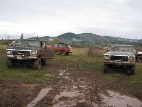 1978 Ford Bronco - Muddy 1978 Ford F-Series truck parked in a field with other vehicles.