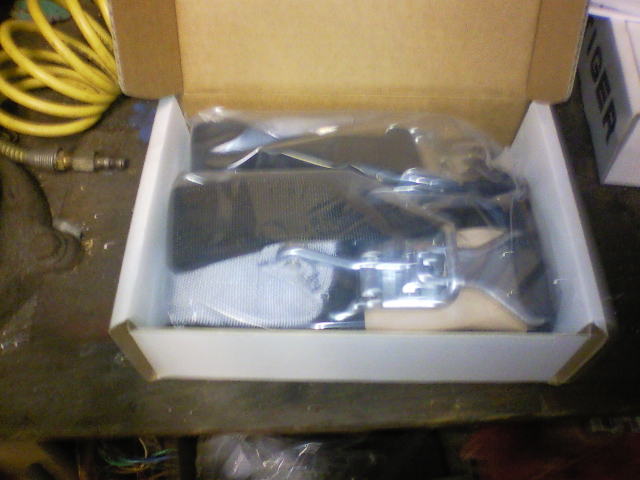 Seatbelt buckle and strap in a box