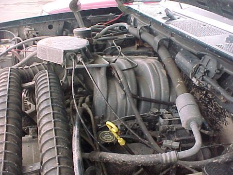 1993 Ford Bronco photo