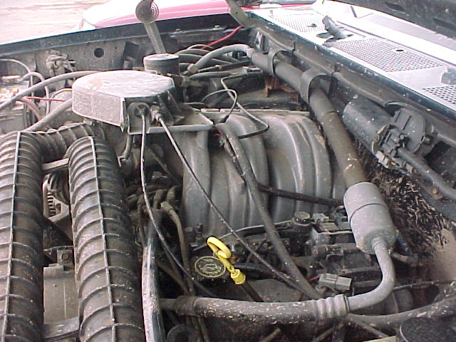 Engine bay with intake manifold and hoses visible