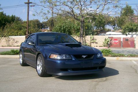 2001 Ford Mustang photo