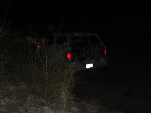Dark SUV with illuminated taillights and license plate, partially obscured by branches at night