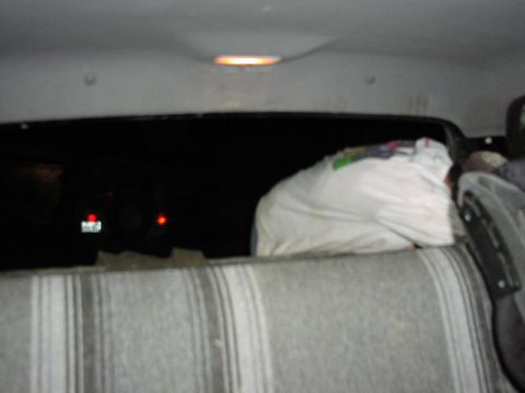 1981 Ford Bronco - A person is seen in the back seat of a vehicle, with a license plate visible through the rear window.
